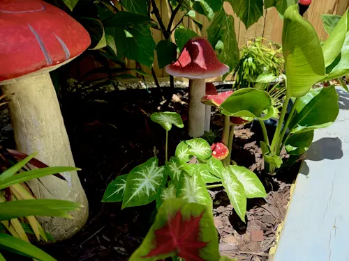 Transformation & Growth