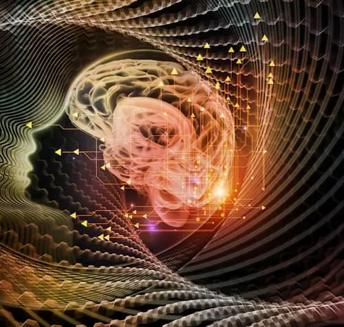 Whole-Minded Mini Guide